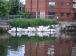Salford Council Battles Peel Holdings over Ordsall riverside path